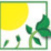 Lifetime Wealth Group