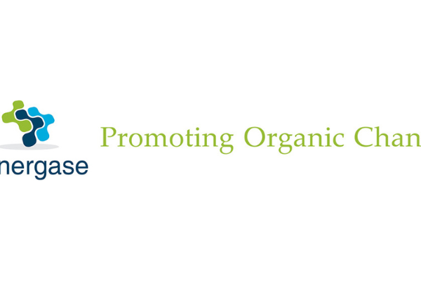 Synergase Consulting Group