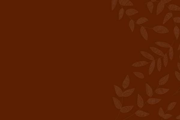jones financial group