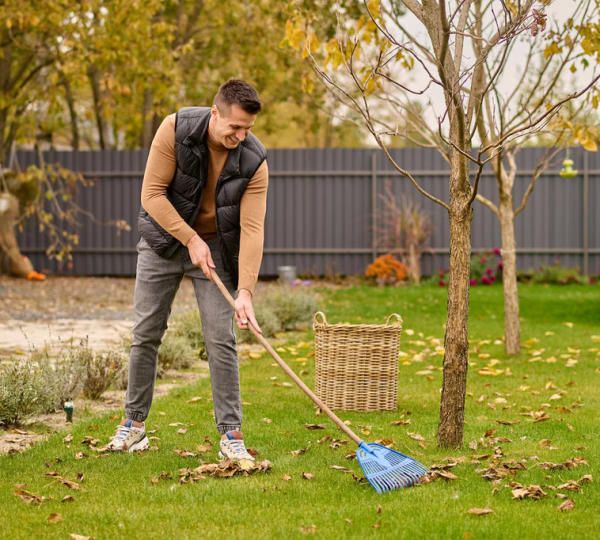 Clean Homes or Do Light Yard Work