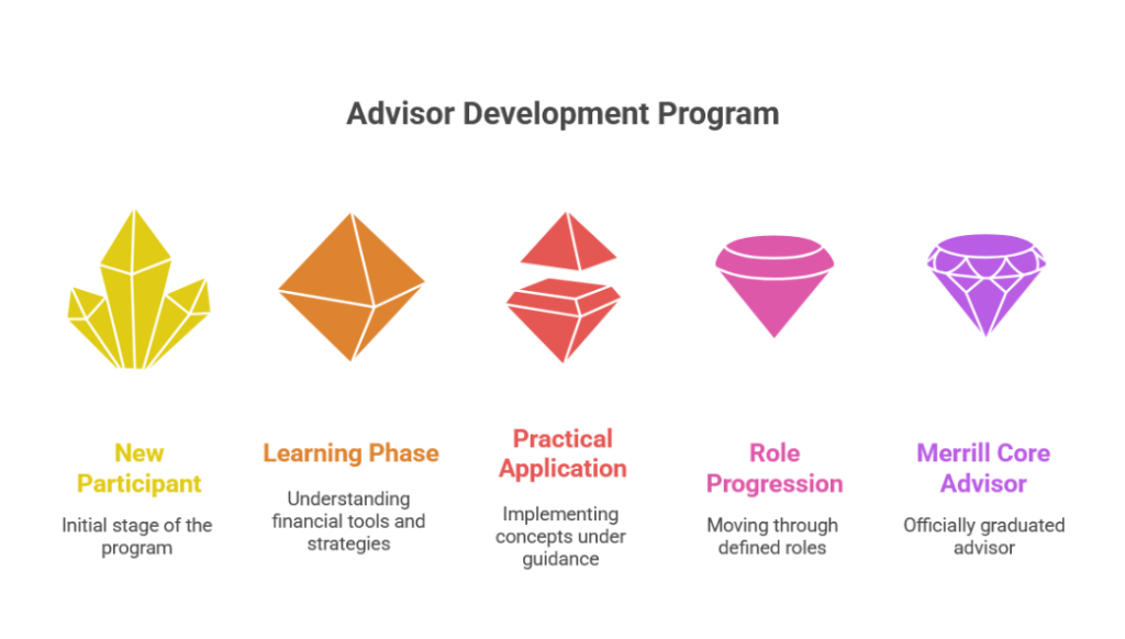 Explore Program Structure