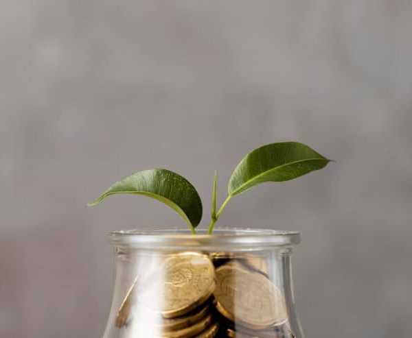 Why Choosing the Right Investment Firm Matters