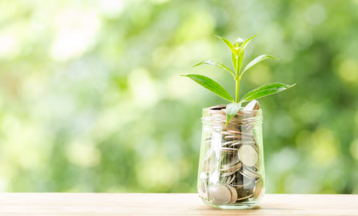 Investment Firms in Charlotte To Consider