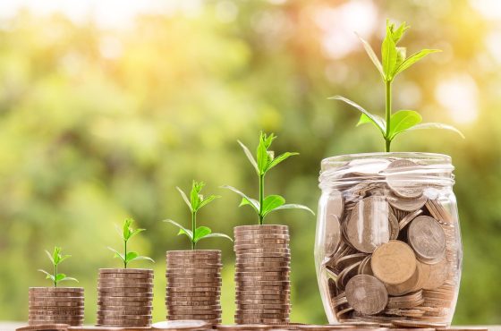 Institutional Investment Management: A Smart Choice for Wealth