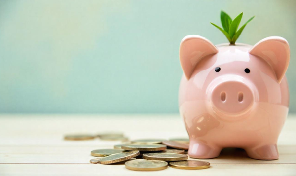 Open a high-yield savings account
