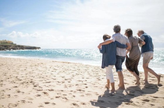 P F Wealth Management Group