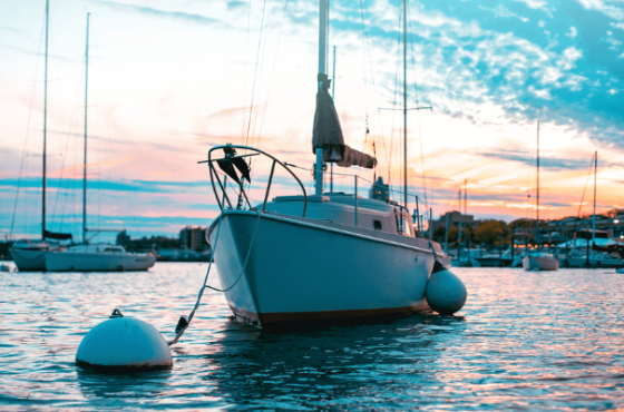 Tampa Asset Management
