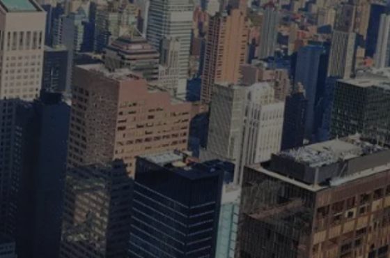 Wealth Partners LLC