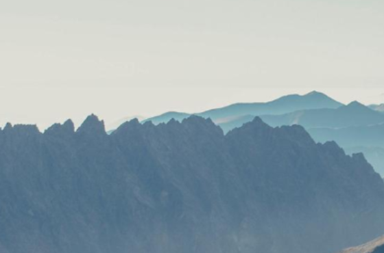 Sisu Wealth Management