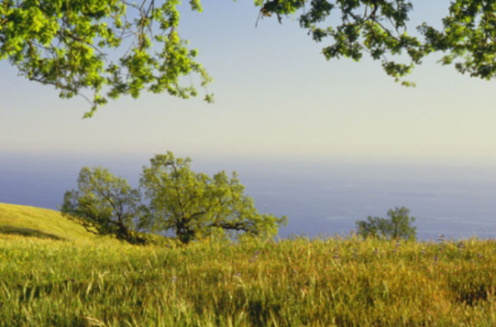Mason Street Wealth Management