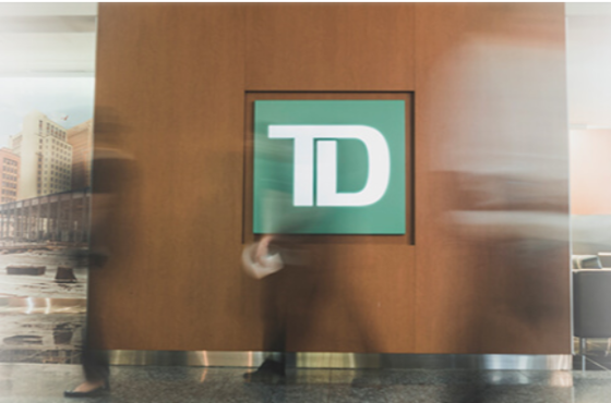 Karina Vega-Gonzalez – TD Wealth Financial Advisor