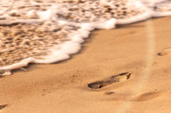 Shore Asset Management