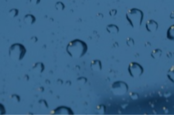 Riley Investment Management LLC