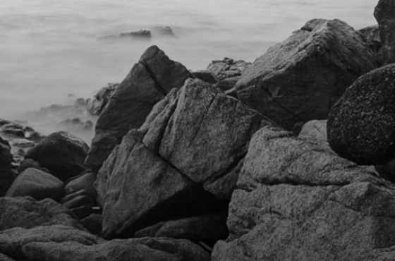 Terra Stone Wealth Management