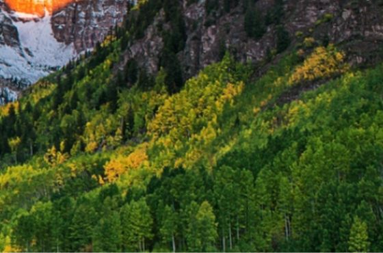 Cascade Investment Group Inc.