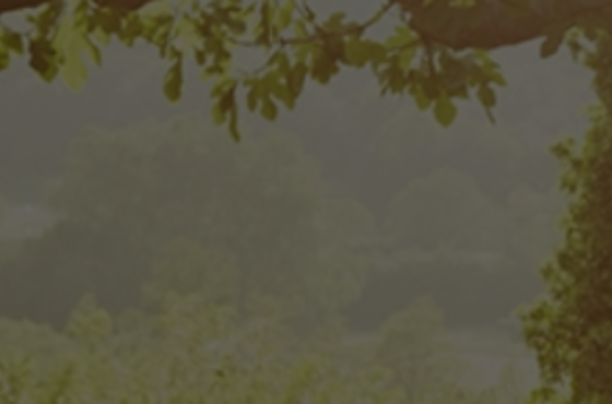 Stifel | Shepard Wealth Management