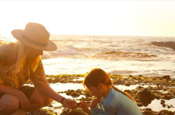 Orange County Employees Retirement System (OCERS)