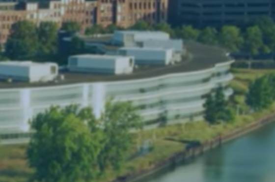 Structured Wealth Management