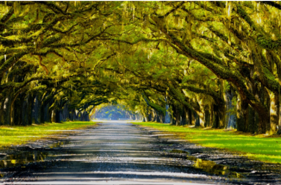 RRDM | Wealth Management Partners