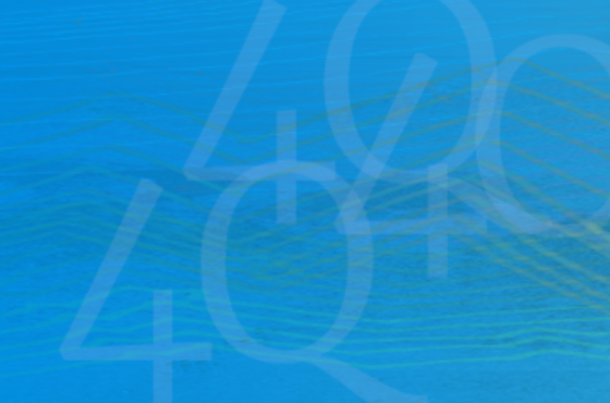 Brown Capital Management Inc