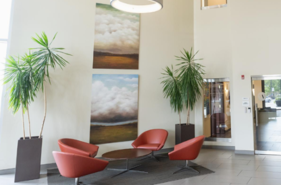 Mader & Shannon Wealth Management