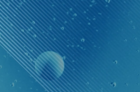 Alpha Capital Strategies