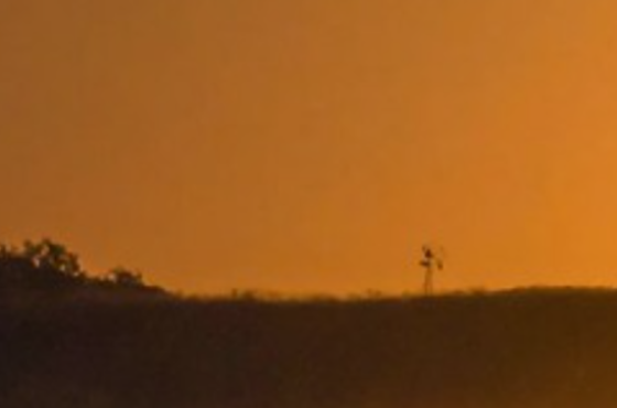 LoneStar Wealth Management