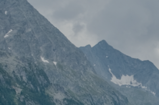 B.E.S.T. Wealth Management