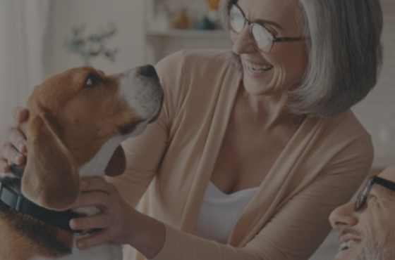 Meridian Wealth Advisors
