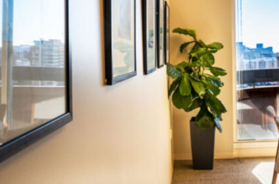 ZWJ Investment Counsel