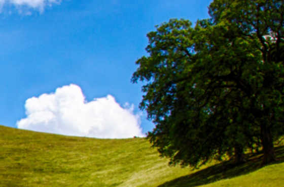 Valley Wealth Management Inc.