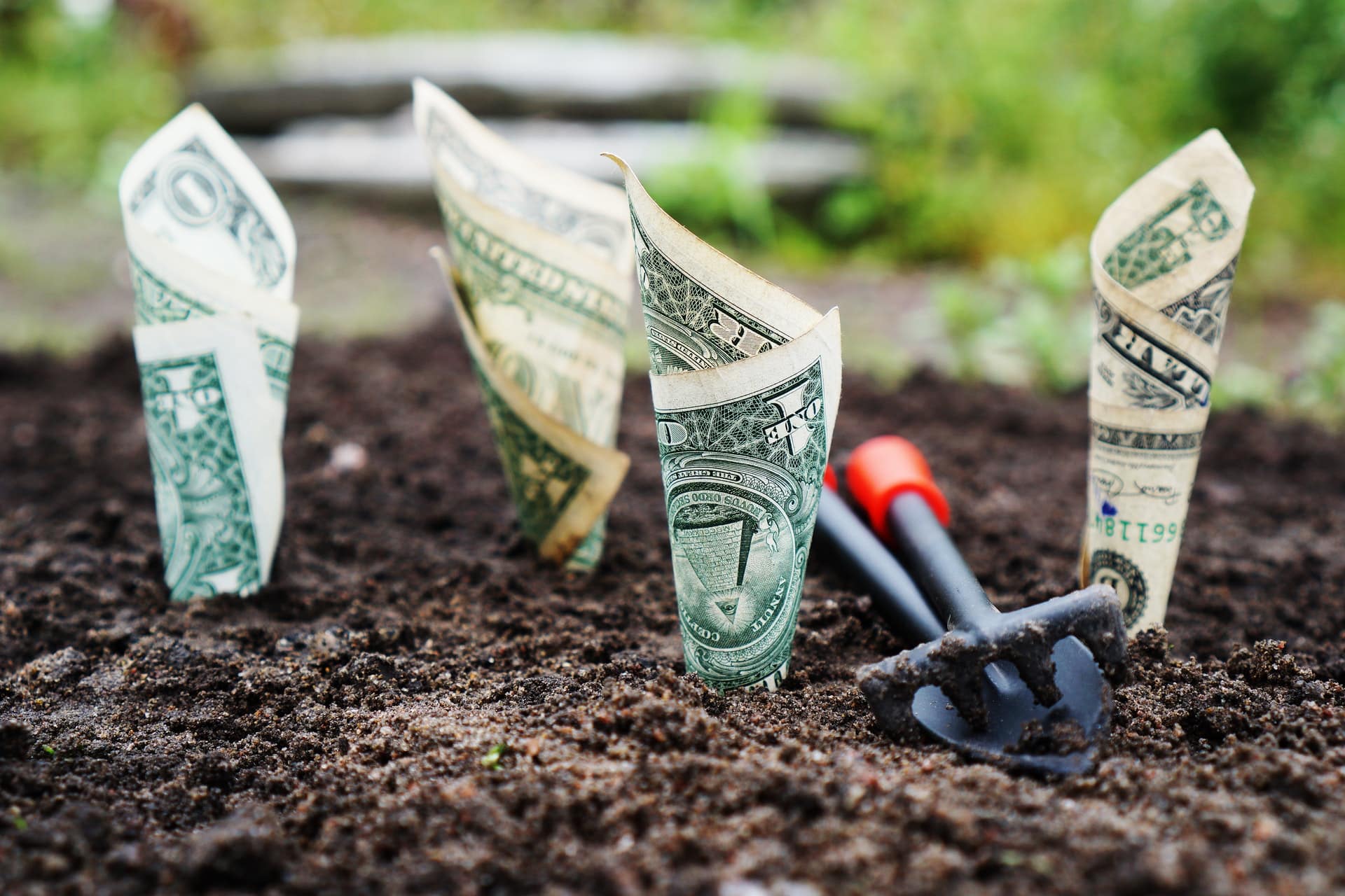 best wealth management banks