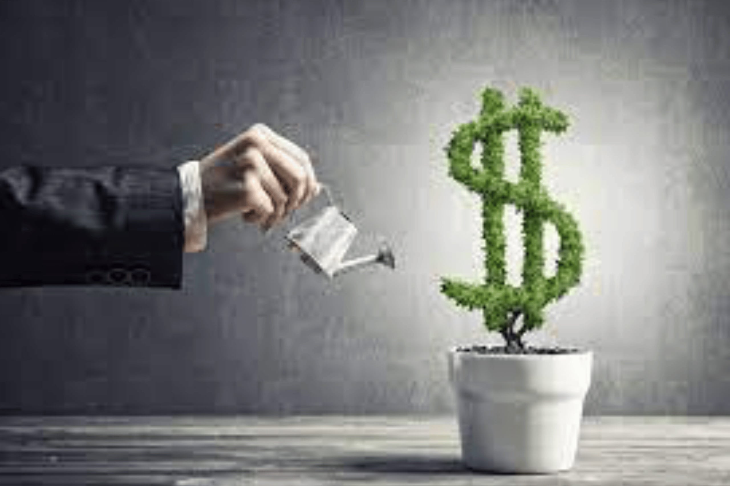 How do beginners invest in index funds