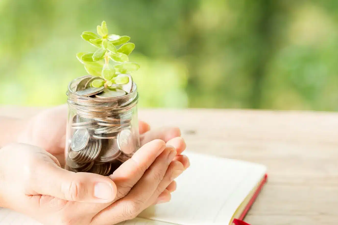Set Up a Donor Advised Fund
