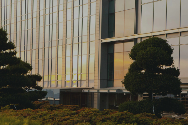 Murray Wealth Management