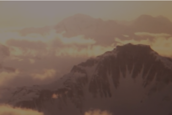 Moxie Wealth Management