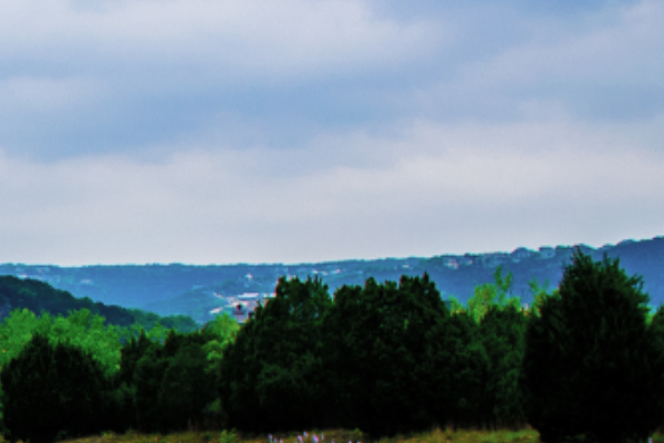 Austin Wealth Management