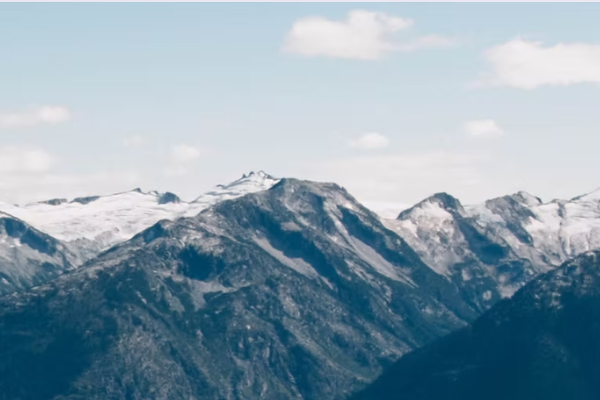 Fortunam Wealth Management