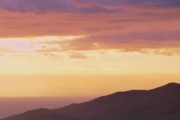 Legacy Wealth Management