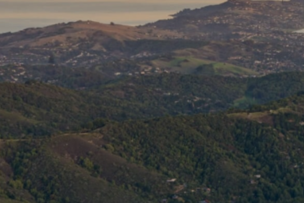 Allison Wealth Management