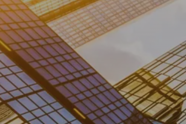 Collins Wealth Management Inc.