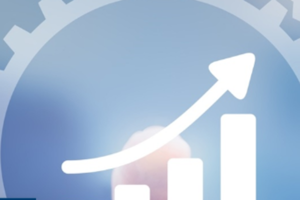 Haber Wealth Management