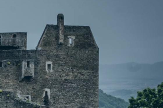 Fortiter Wealth Management