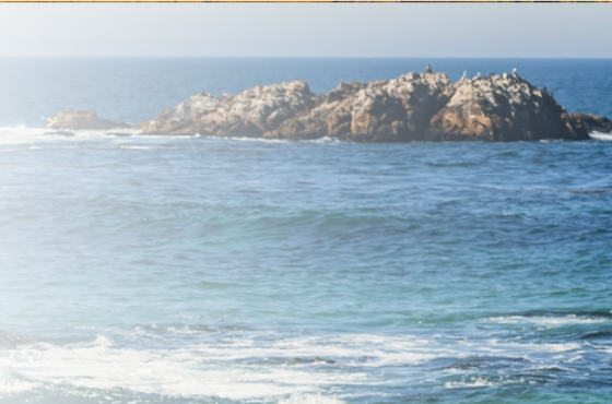 DB Wealth Management Group