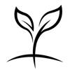 Katapult Wealth Partners LLC