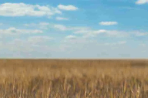 Bright Road Wealth Management, LLC