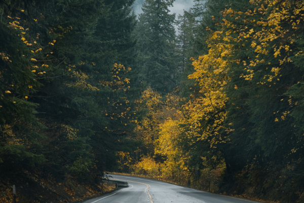Puget Sound Financial Strategies