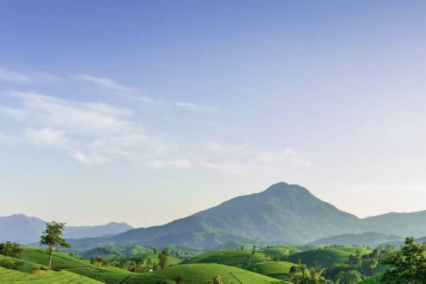 Lakeland Wealth Management
