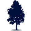 LoneTree Wealth Management