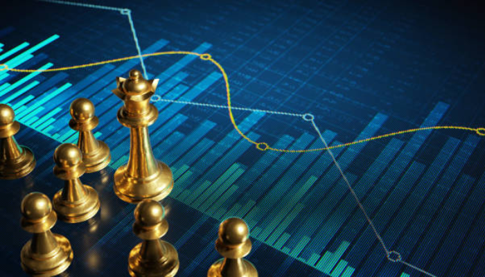 what does a portfolio manager do